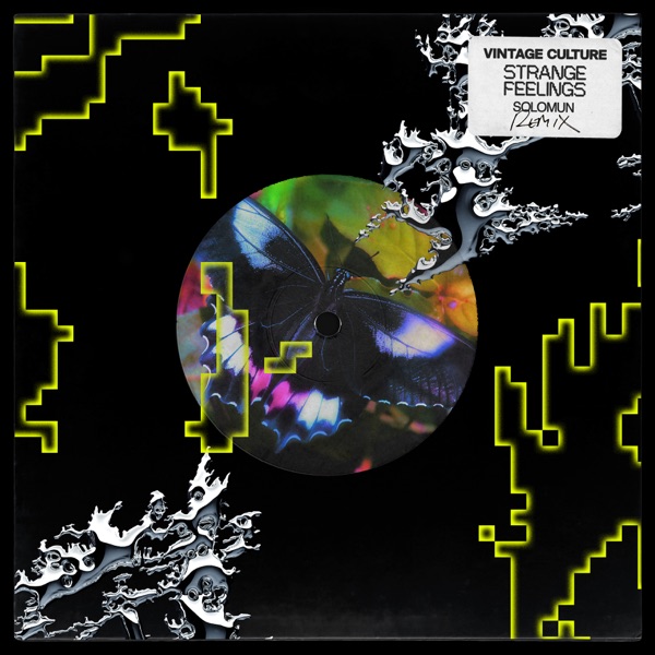 Strange Feelings · Vintage Culture, Solomun